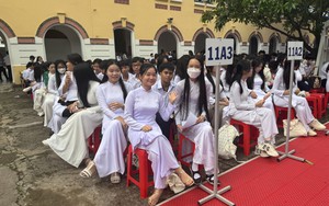 TP Hồ Chí Minh triển khai khảo sát toàn diện học sinh lớp 5, 9, 11