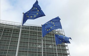EU thống nhất kế hoạch tái cấu trúc nền kinh tế hướng tới tăng trưởng bền vững