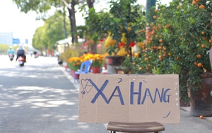 TP. Hồ Chí Minh trước giao thừa: Hoa tết "cháy hàng", nhiều người mua ồ ạt lúc xổ rẻ