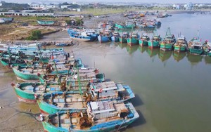 Siết chặt chống khai thác IUU tại TP. Hồ Chí Minh trước đợt kiểm tra của Ủy ban châu Âu