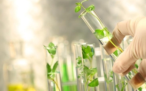 Năm 2028, ban hành bộ chỉ tiêu thống kê công nghệ sinh học phục vụ phát triển kinh tế - xã hội