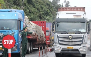 Tạm dừng áp dụng Nghị định số 46 về an toàn thực phẩm đến hết ngày 15/4/2026