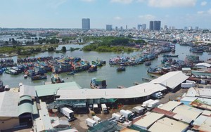 Ngư dân TP. Hồ Chí Minh nâng cao ý thức chấp hành quy định IUU khi vươn khơi