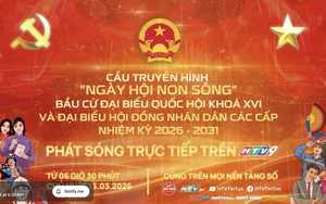 Rộn ràng “Ngày hội non sông” trên thành phố mang tên Bác