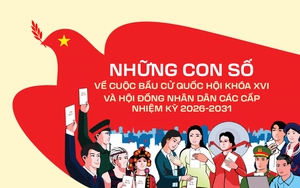 Tỷ lệ cử tri đi bỏ phiếu trên địa bàn TP. Hồ Chí Minh đạt 96,67%