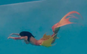 Nghề biểu diễn nàng tiên cá và những điều chưa biết