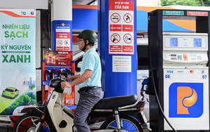 DN Việt tăng tốc sản xuất nhiên liệu sinh học, thay thế đáng kể xăng khoáng