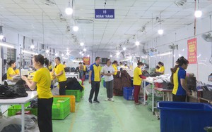 Doanh nghiệp chủ động tiết kiệm nhiên liệu, thích ứng biến động chi phí vận hành