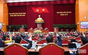 Đặt nền móng vững chắc