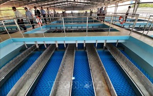 TP Hồ Chí Minh: Nhà máy nước bảo trì, ngừng cấp nước tạm thời nhiều khu vực