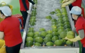 Biến động địa chính trị và bài toán thích ứng của DN xuất khẩu