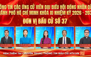 Thông tin các ứng cử viên Đại biểu Hội đồng nhân dân TP. Hồ Chí Minh Khóa XI - Đơn vị bầu cử số 37