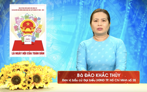Chương trình hành động Ứng cử viên Đại biểu Hội đồng nhân dân TP. Hồ Chí Minh Khóa XI Đào Khắc Thuỳ