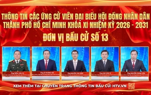 Thông tin các ứng cử viên Đại biểu Hội đồng nhân dân TP. Hồ Chí Minh Khóa XI - Đơn vị bầu cử số 13