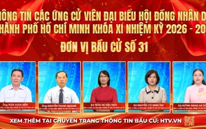 Thông tin các ứng cử viên Đại biểu Hội đồng nhân dân TP. Hồ Chí Minh Khóa XI - Đơn vị bầu cử số 31
