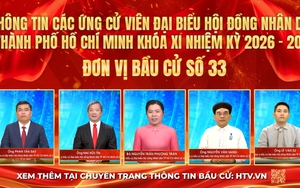 Thông tin các ứng cử viên Đại biểu Hội đồng nhân dân TP. Hồ Chí Minh Khóa XI - Đơn vị bầu cử số 33