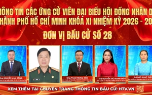 Thông tin các ứng cử viên Đại biểu Hội đồng nhân dân TP. Hồ Chí Minh Khóa XI - Đơn vị bầu cử số 28