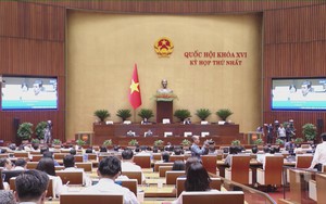 Đại biểu Quốc hội tán thành việc giảm thuế đối với xăng, dầu và nhiên liệu bay