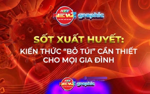NewZgraphic: Sốt xuất huyết: Kiến thức “bỏ túi” cần thiết cho mọi gia đình