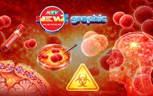 NewZgraphic: Vi khuẩn não mô cầu - Nguy hiểm khó lường!