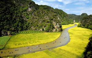 “Cú hích” mới cho du lịch Ninh Bình: Khách sạn Pullman 283 phòng chính thức vận hành