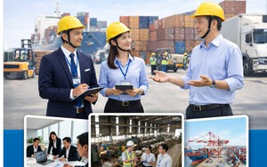 TP. Hồ Chí Minh đẩy nhanh tiến độ Tổng điều tra kinh tế năm 2026 