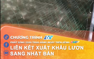 Liên kết xuất khẩu lươn sang Nhật Bản