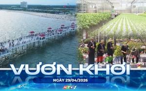 Vươn khơi - Ngày 29/4/2026 | Hồ Tràm sẵn sàng lên phường
