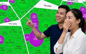 VN-Index tăng gần 80 điểm, nhà đầu tư "hốt bạc" sau chuỗi ngày gồng lỗ