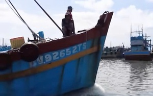 TP. Hồ Chí Minh tiếp tục siết chặt công tác chống khai thác thủy sản bất hợp pháp IUU