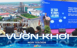 Vươn khơi - Ngày 11/5/2026 | Đảm bảo an toàn vệ sinh lao động tại nơi làm việc
