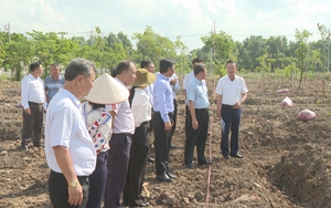 TP. Hồ Chí Minh sẽ trồng thêm 500 cây xanh tại xã Bình Lợi