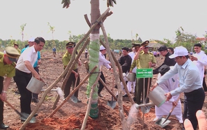 TP. Hồ Chí Minh trồng 503 cây xanh tại Công viên văn hóa Láng Le, lan tỏa phong trào “Thành phố muôn sắc hoa”