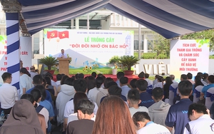 TP. Hồ Chí Minh trồng 230 cây xanh tại khu đất quy hoạch Quảng trường sáng tạo ĐHQG-HCM