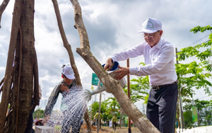 TP. Hồ Chí Minh: Trồng hơn 500 cây xanh tại công viên văn hóa Láng Le