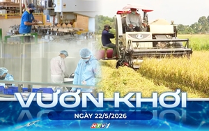 Vươn khơi - Ngày 22/5/2026 | TP. Hồ Chí Minh: Nhiều chính sách ưu đãi thúc đẩy phát triển kinh tế tư nhân