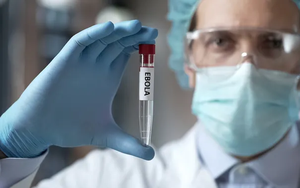 Nhiều nước tham gia đường đua nghiên cứu vaccine Ebola
