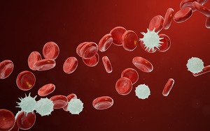 Bước đột phá mở hy vọng mới cho bệnh ung thư và bệnh máu