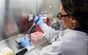 Argentina: Điều tra nguồn gốc ổ dịch virus Hanta
