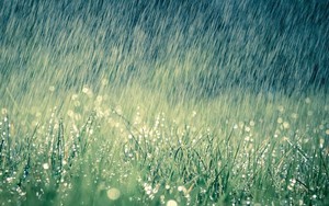 Cảnh báo mưa dông, mưa lớn cục bộ ở Bắc Bộ và Bắc Trung Bộ