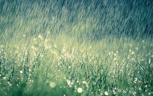 Cảnh báo mưa lớn ở khu vực vùng núi và trung du Bắc Bộ