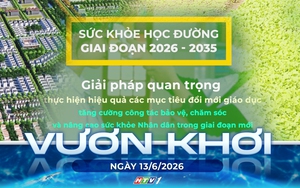 Vươn khơi - Ngày 13/6/2026 | Tiêu chuẩn mới mở rộng cơ hội sản xuất rau an toàn cho nông dân