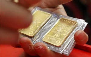 Thị trường vàng và bài học về tâm lý đầu tư theo phong trào