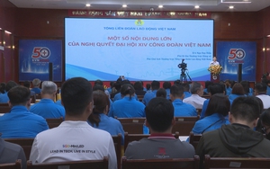 Phường Vũng Tàu: 6 tháng đầu năm 2026 kinh tế tăng trưởng ổn định, doanh thu đạt gần 20.700 tỷ đồng
