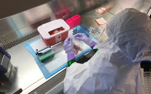 Congo: Mở phòng thí nghiệm giúp xác định nhanh virus Ebola
