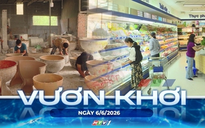 Vươn khơi - Ngày 6/6/2026 | Hoàn thiện tiêu chí đánh giá, phân hạng sản phẩm OCOP
