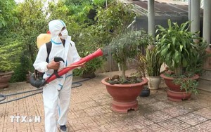 Phạt tới 10 triệu đồng nếu cản trở phun thuốc diệt muỗi tại TP. Hồ Chí Minh