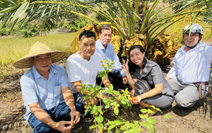 Chàng kỹ sư IT rời Singapore về Đồng Tháp khởi nghiệp với vườn "Chà là Nữ hoàng" độc lạ giữa miền Tây
