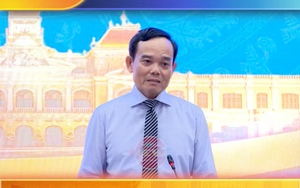 Chỉ đạo của đồng chí Trần Lưu Quang - Ủy viên Bộ Chính trị, Bí thư Thành ủy, Trưởng Đoàn Đại biểu Quốc hội TP. Hồ Chí Minh