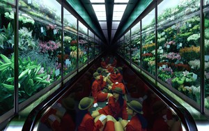 Nhật Bản: Sức sống bền bỉ của bộ ảnh "Cô gái thang máy" (Elevator Girls)